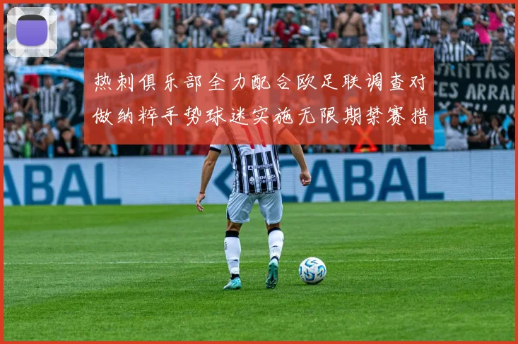 热刺俱乐部全力配合欧足联调查对做纳粹手势球迷实施无限期禁赛措施